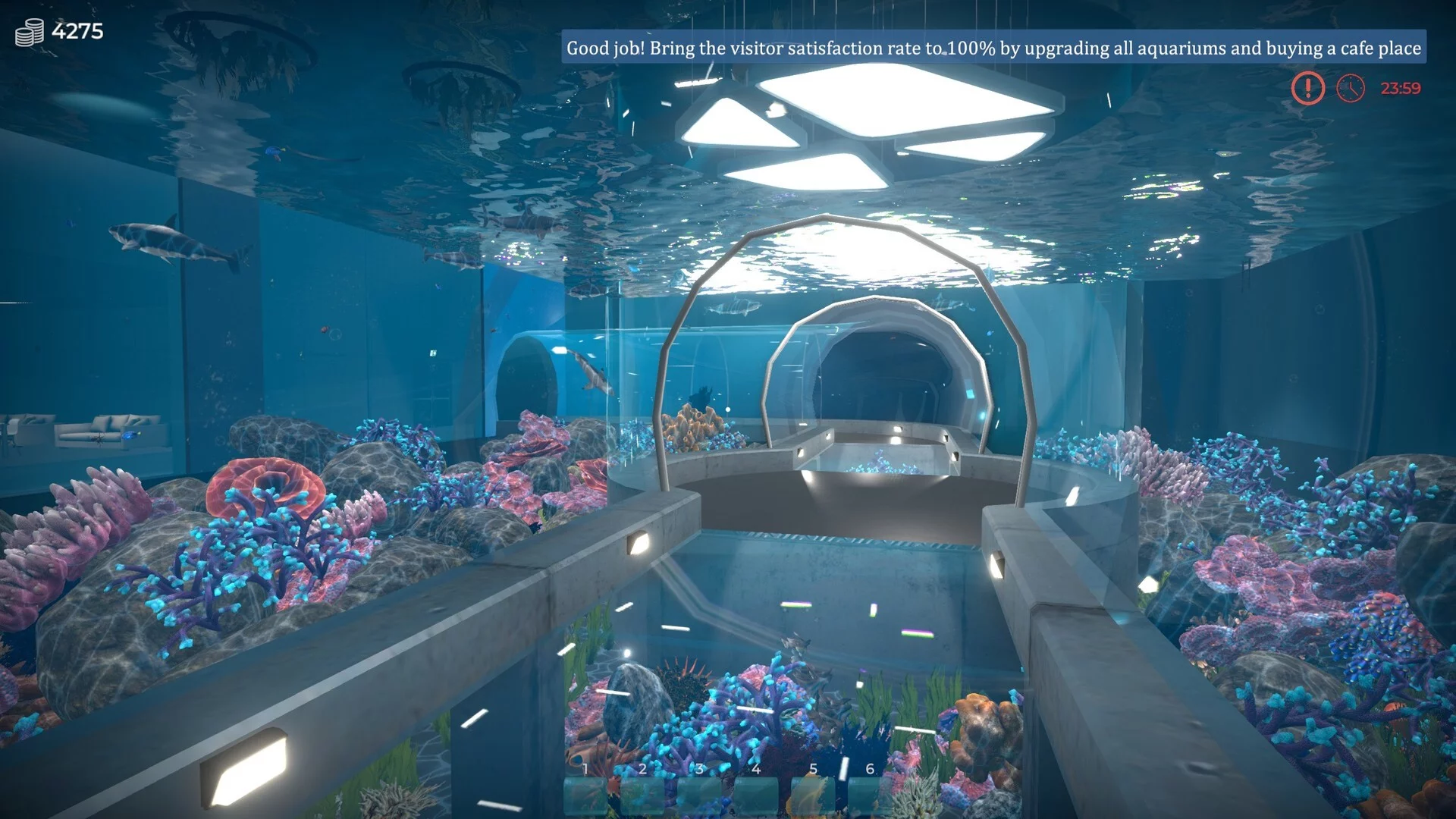 Изображение игры: Aquarist - build aquariums, grow fish, develop your business!