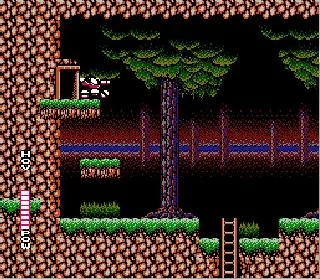 Изображение игры: Blaster Master (1988)