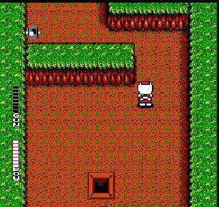 Изображение игры: Blaster Master (1988)