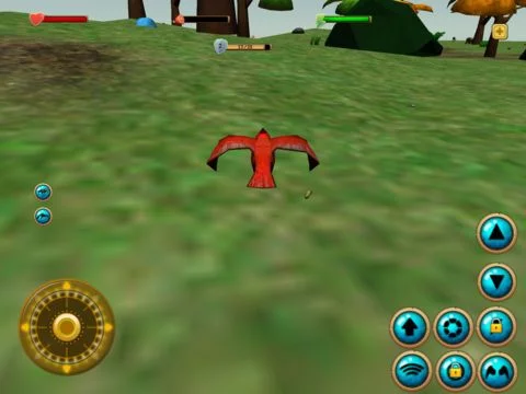 Изображение игры: Cardinal Simulator 3D