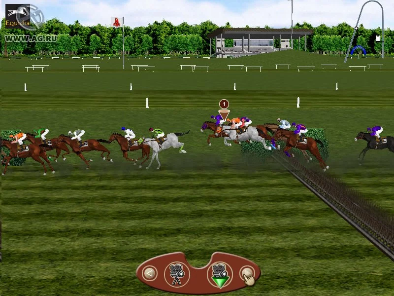 Изображение игры: Horse Racing Manager