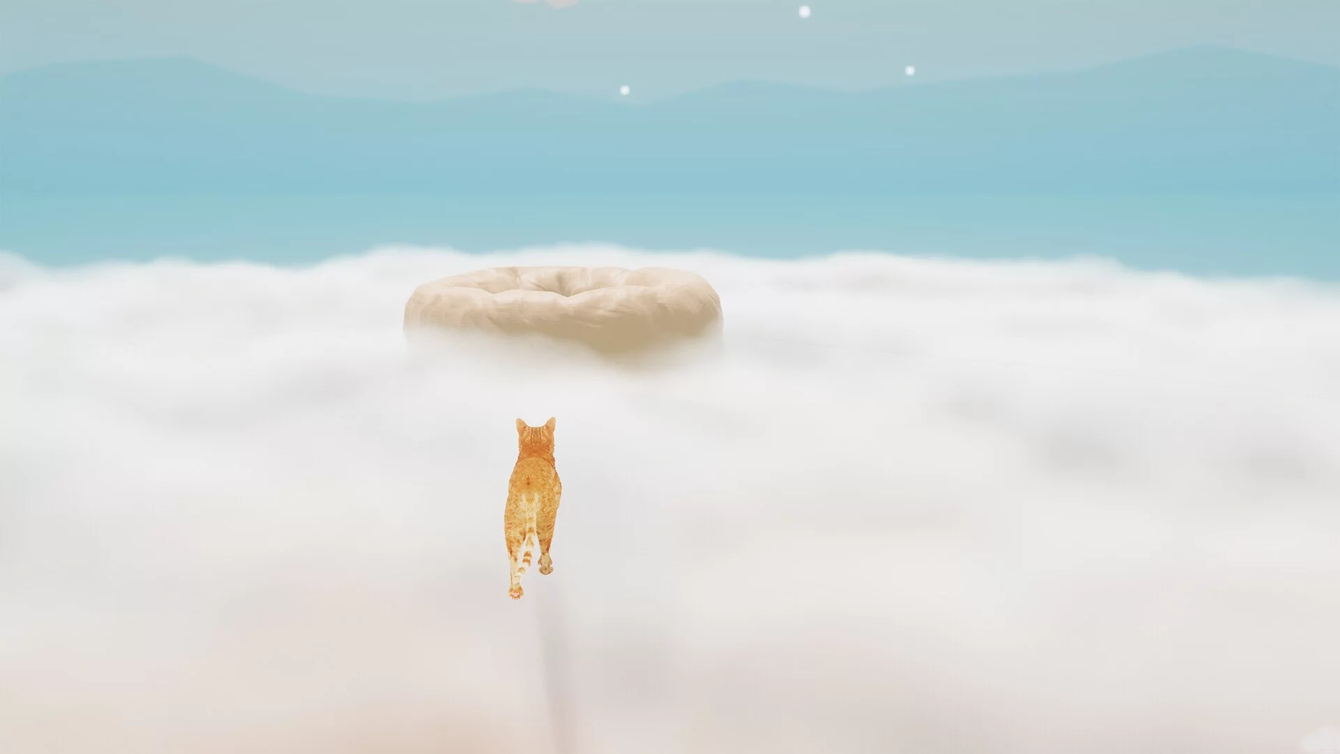 Изображение игры: Cat's Rage