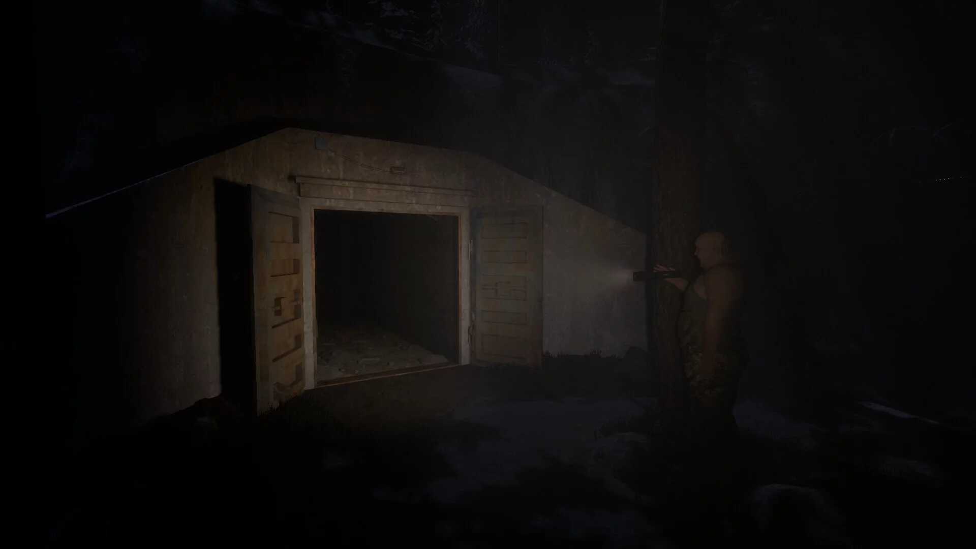Изображение игры: Sleepless
