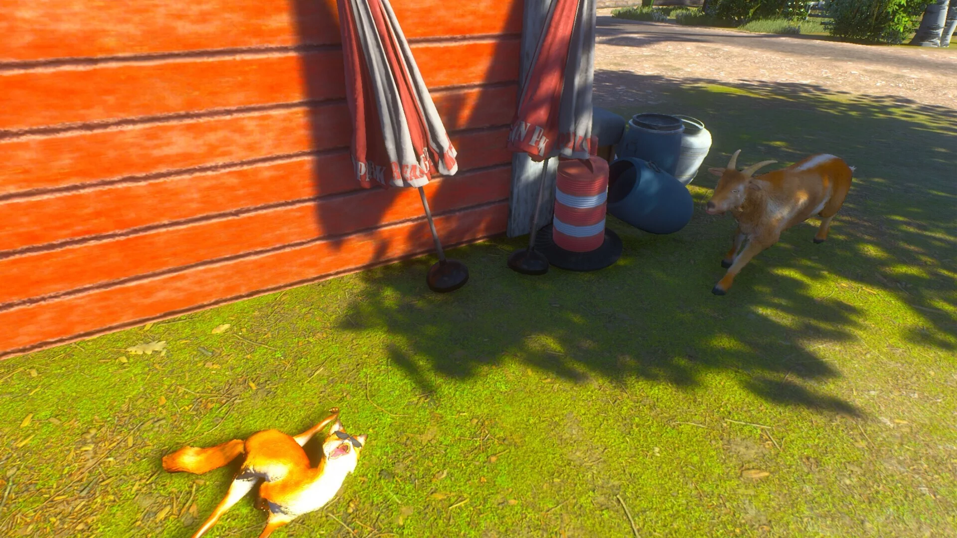 Изображение игры: Chill Fox