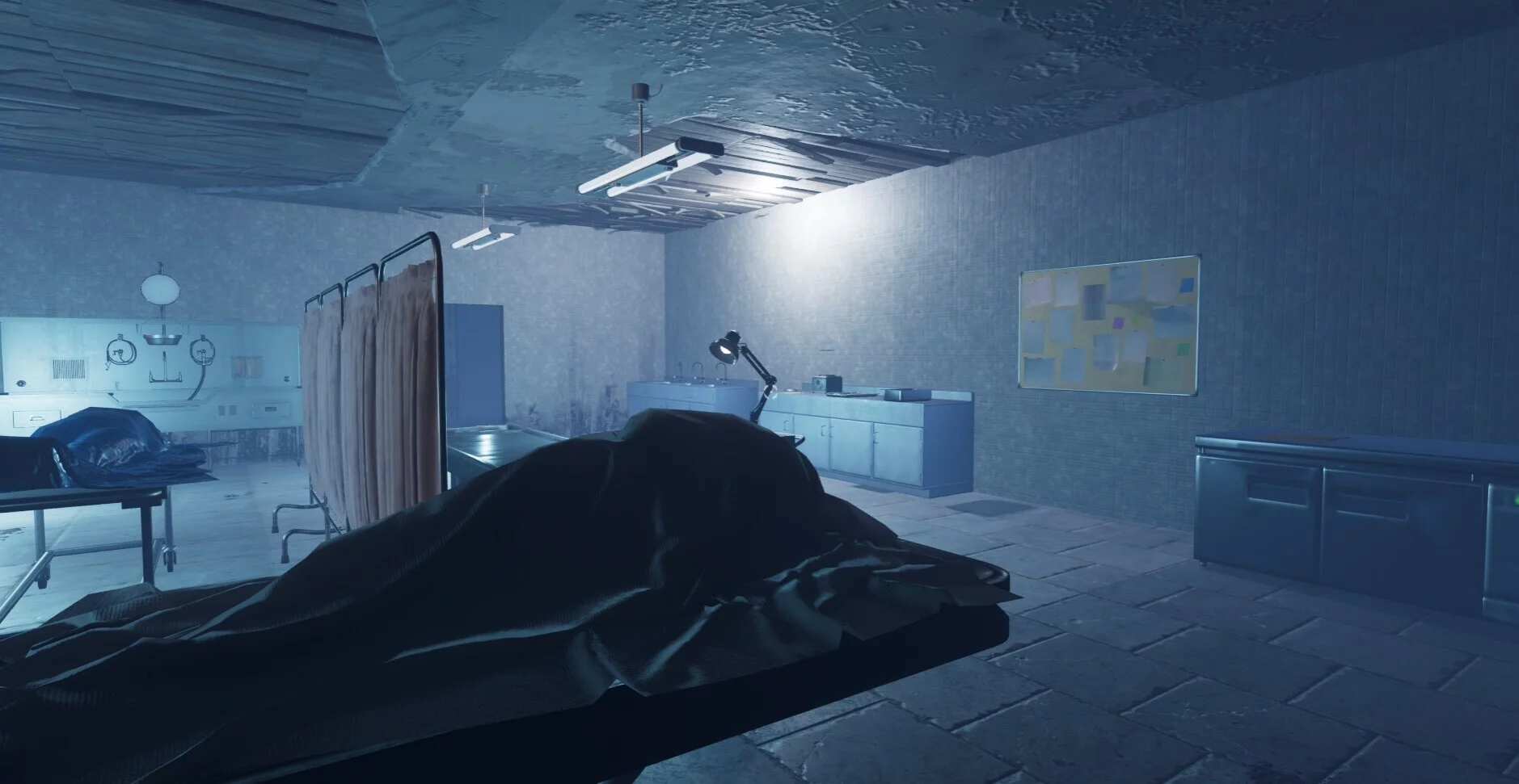Изображение игры: Psychiatric Hospital