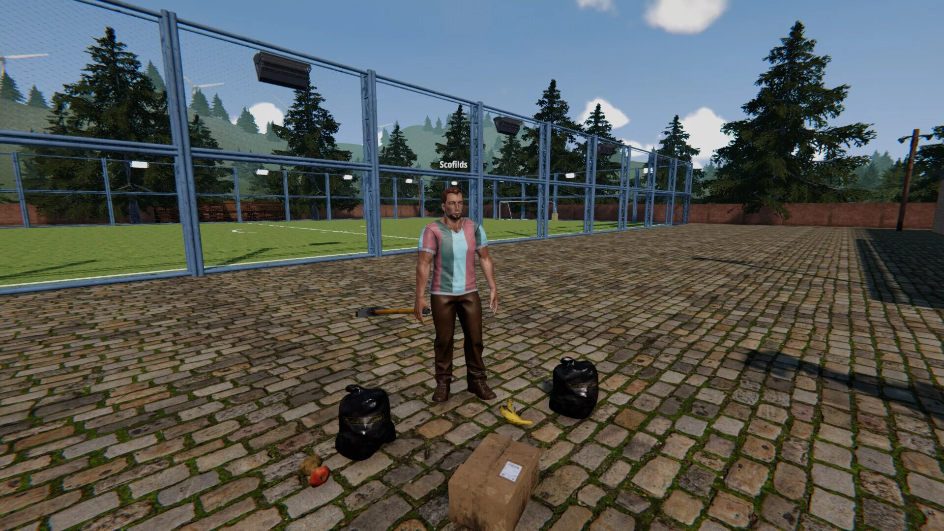 Изображение игры: Football Pitch Simulator