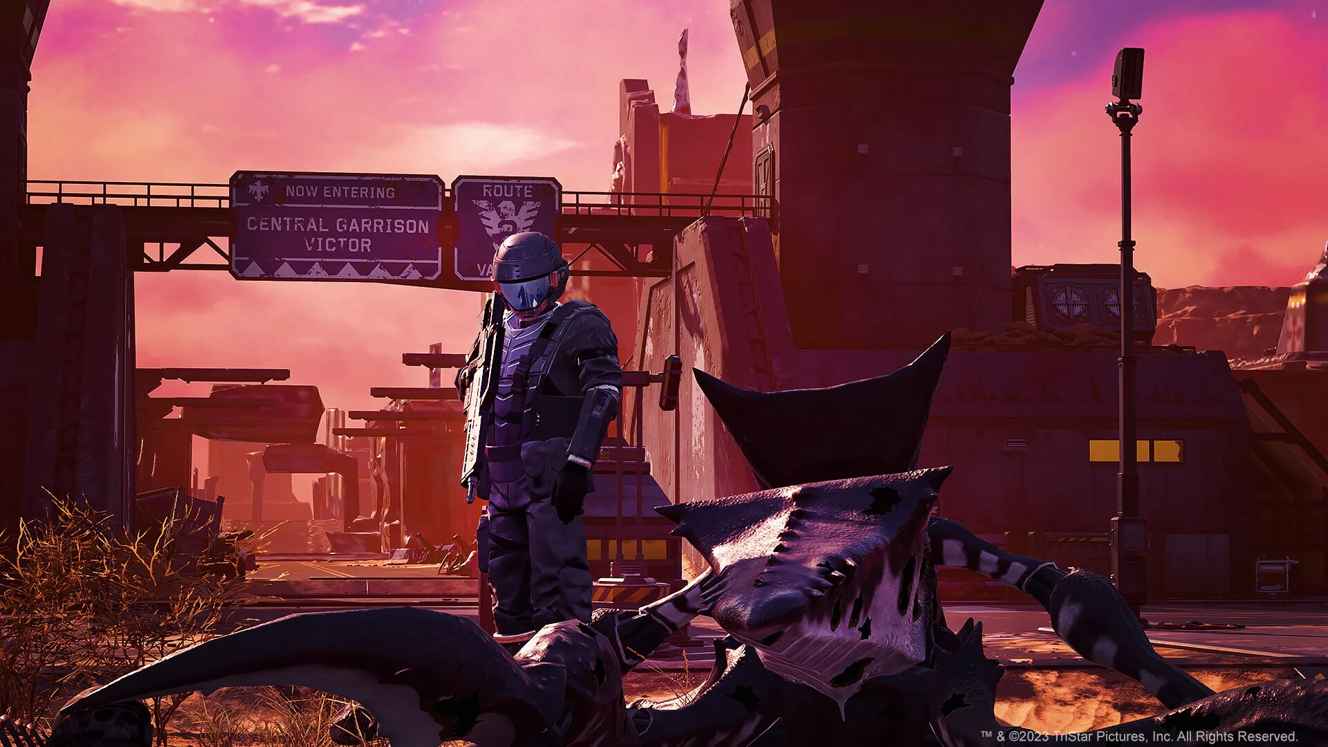Изображение игры: Starship Troopers: Extermination