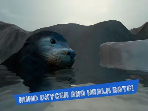Изображение игры: Seal Survival Simulator 3D