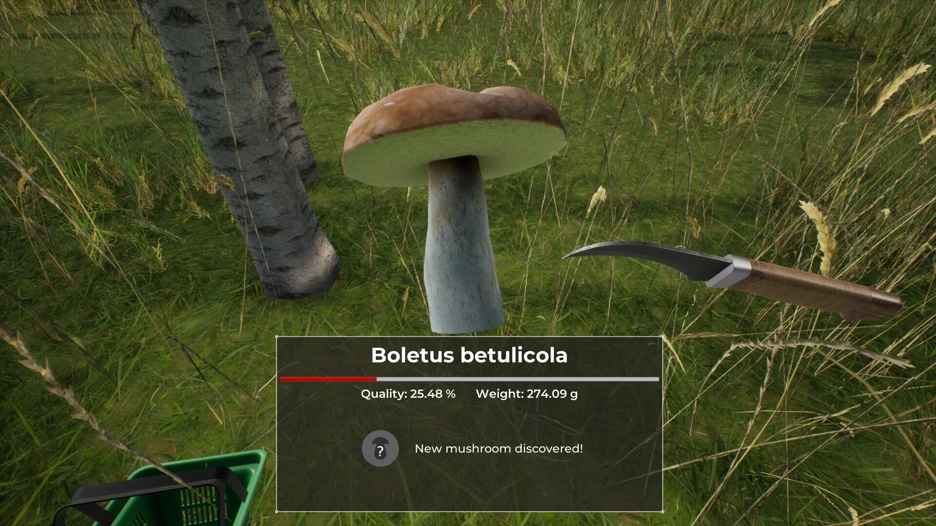 Изображение игры: Mushroom Hunter World