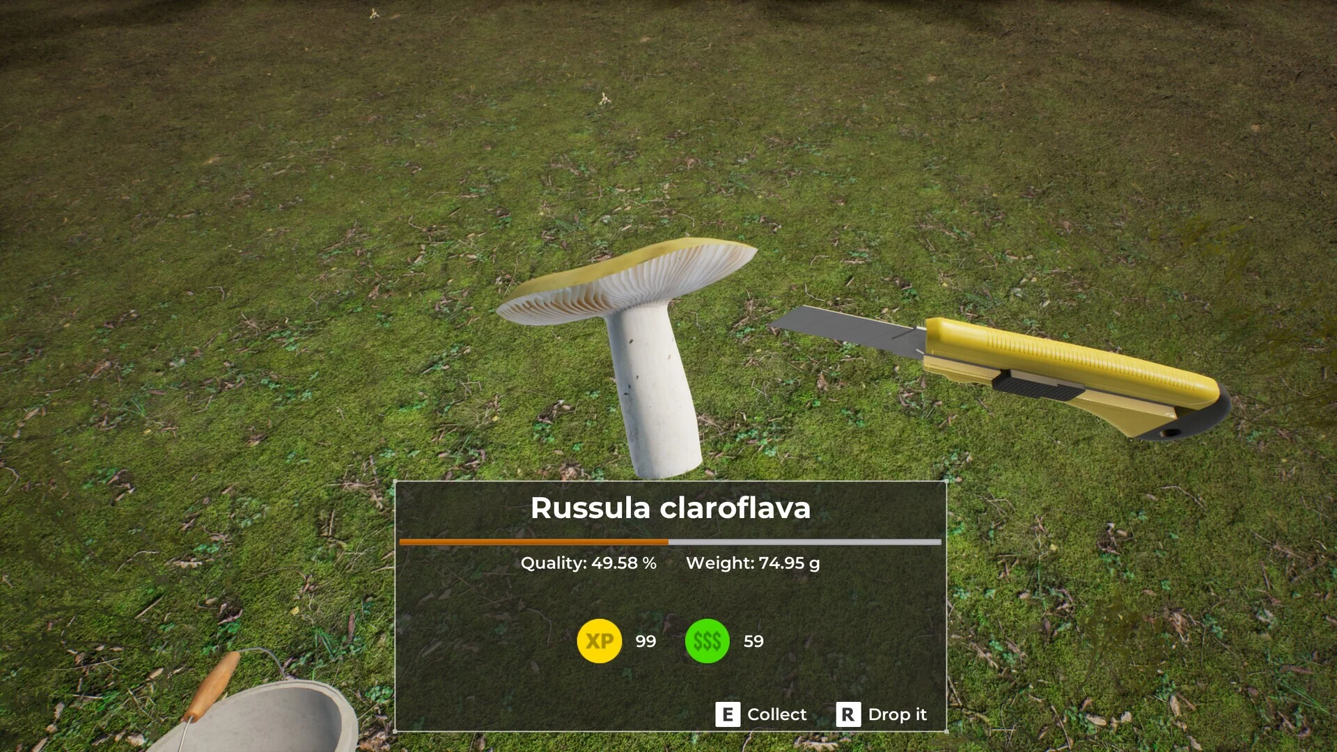 Изображение игры: Mushroom Hunter World