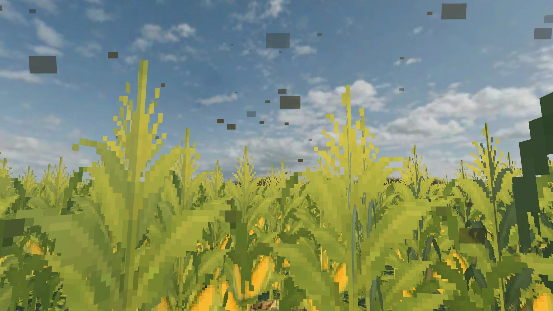 Изображение игры: The Field Between