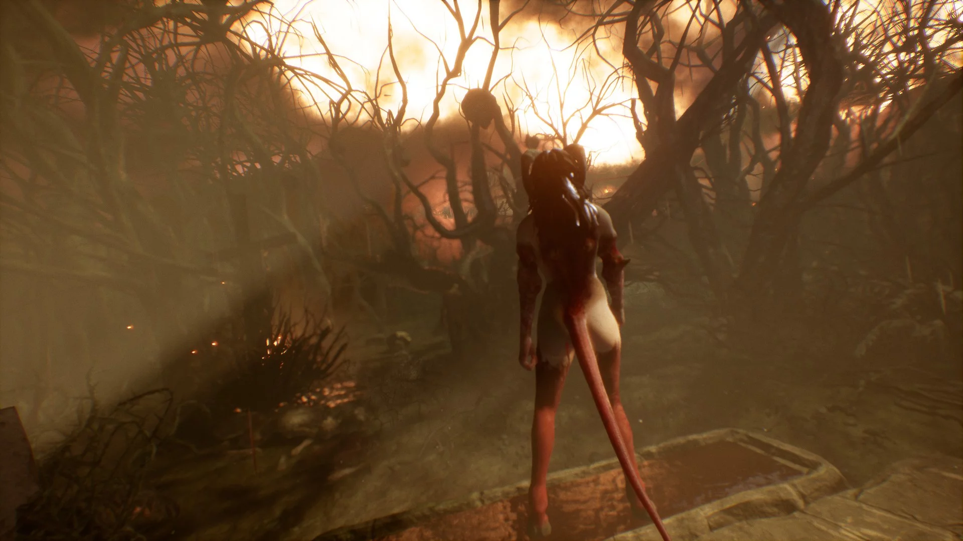 Изображение игры: SUCCUBUS