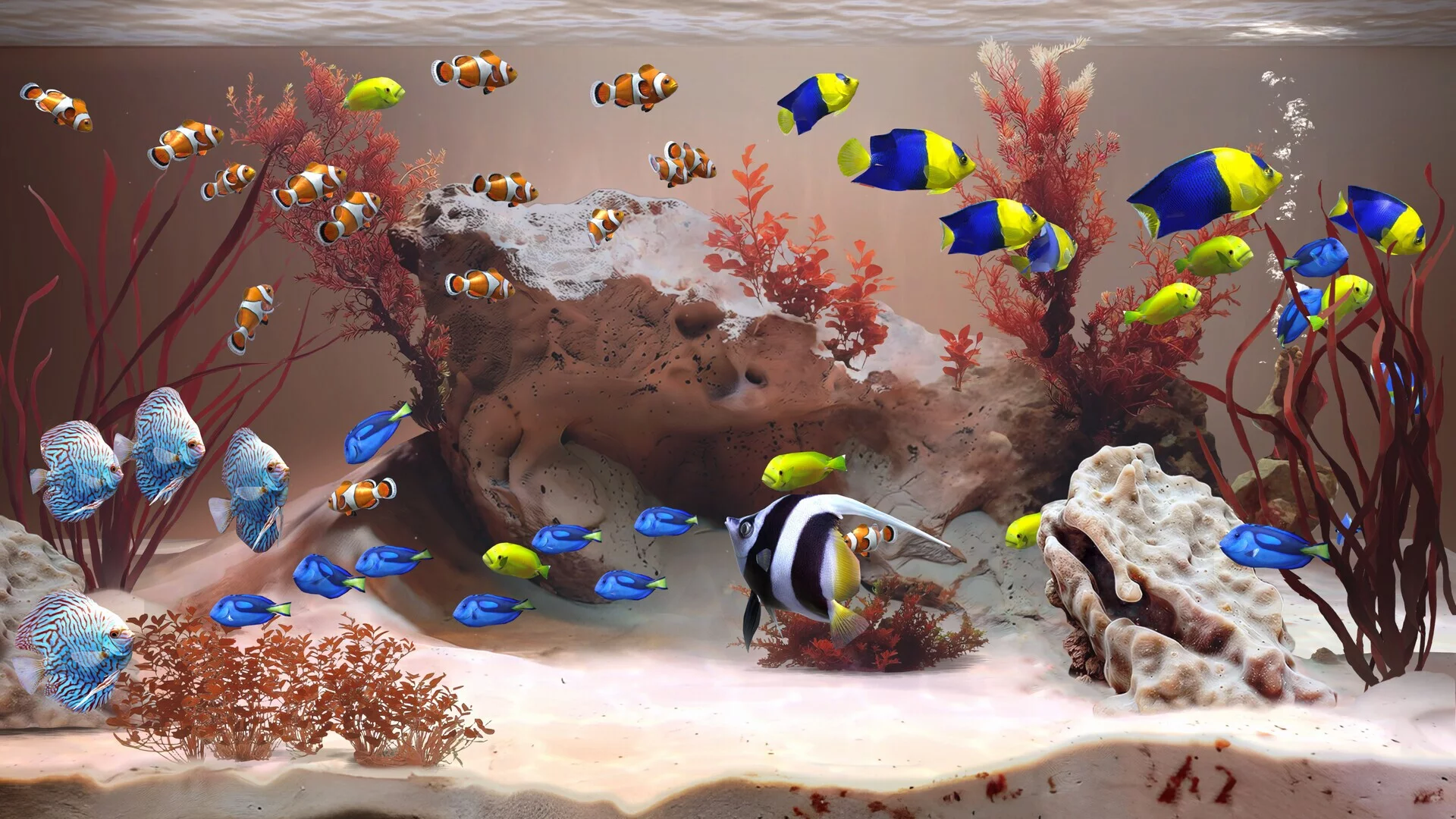 Изображение игры: Zen Aquarium