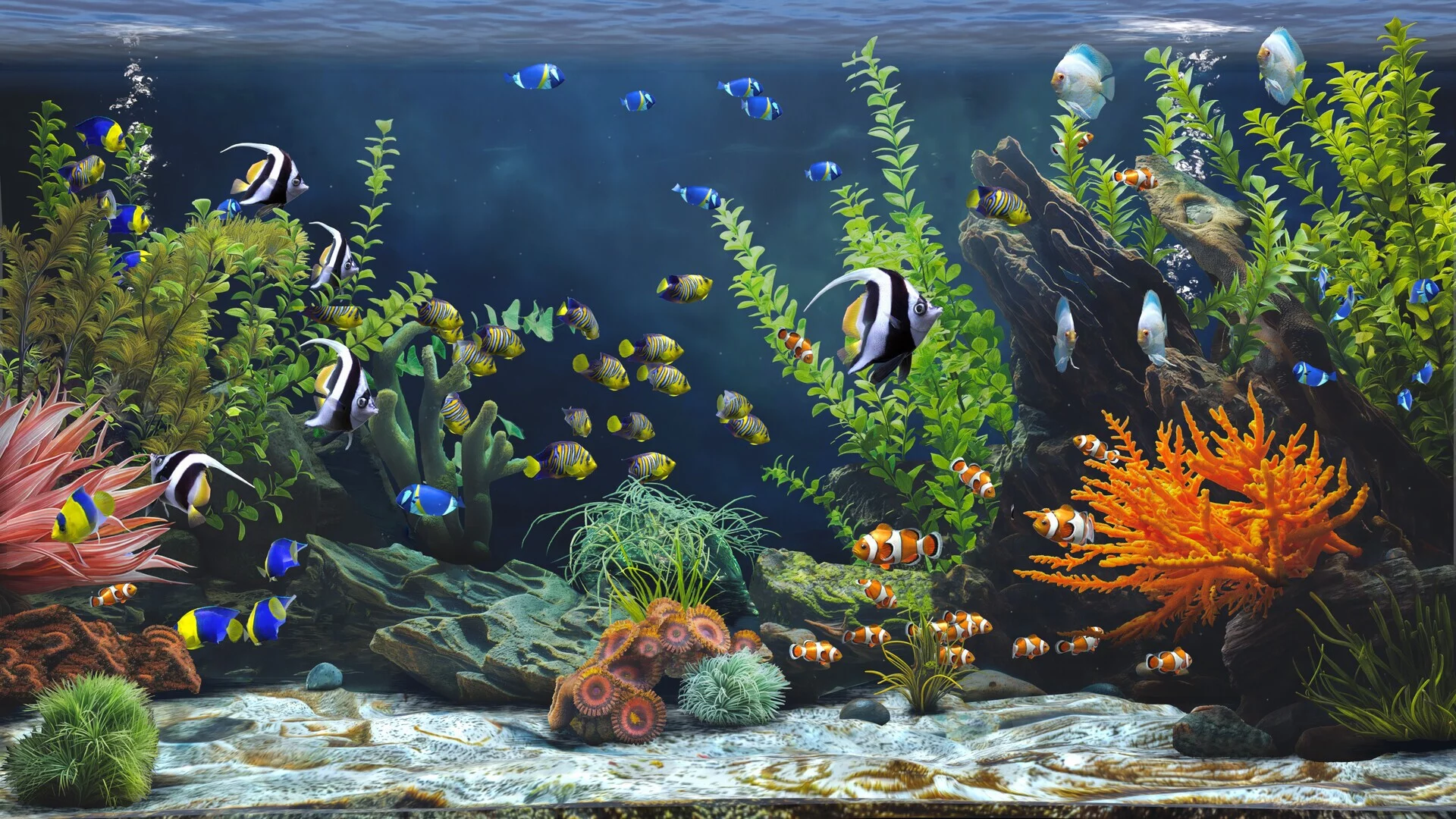 Изображение игры: Zen Aquarium