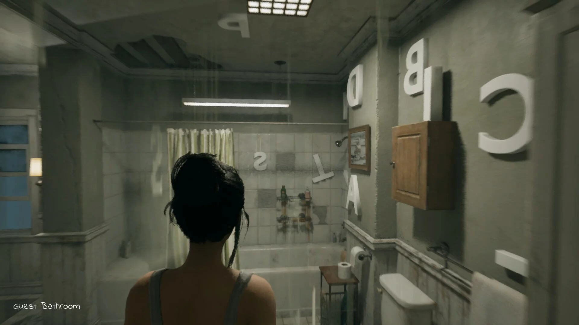 Изображение игры: The Evelyn Game