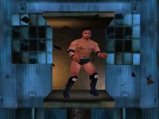 Изображение игры: WWF War Zone