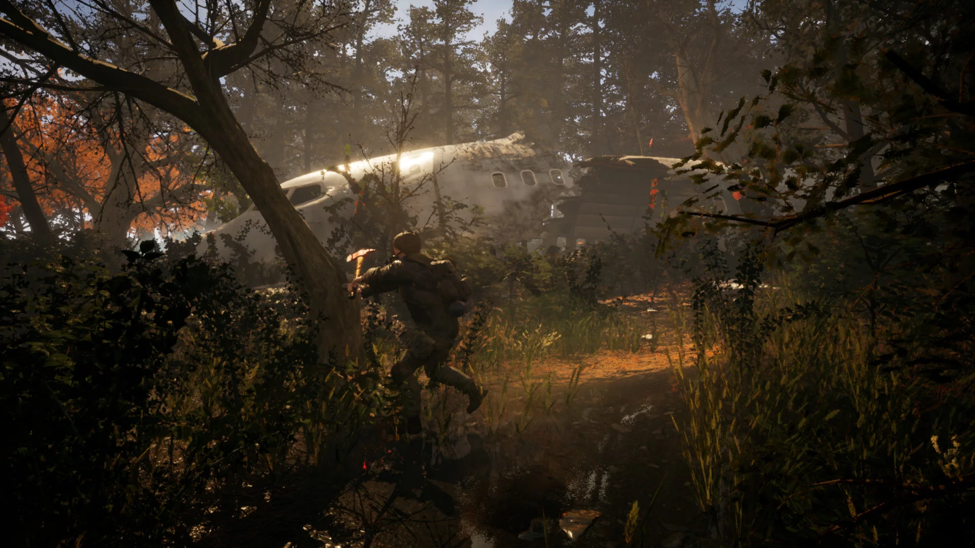 Изображение игры: Survive the Fall
