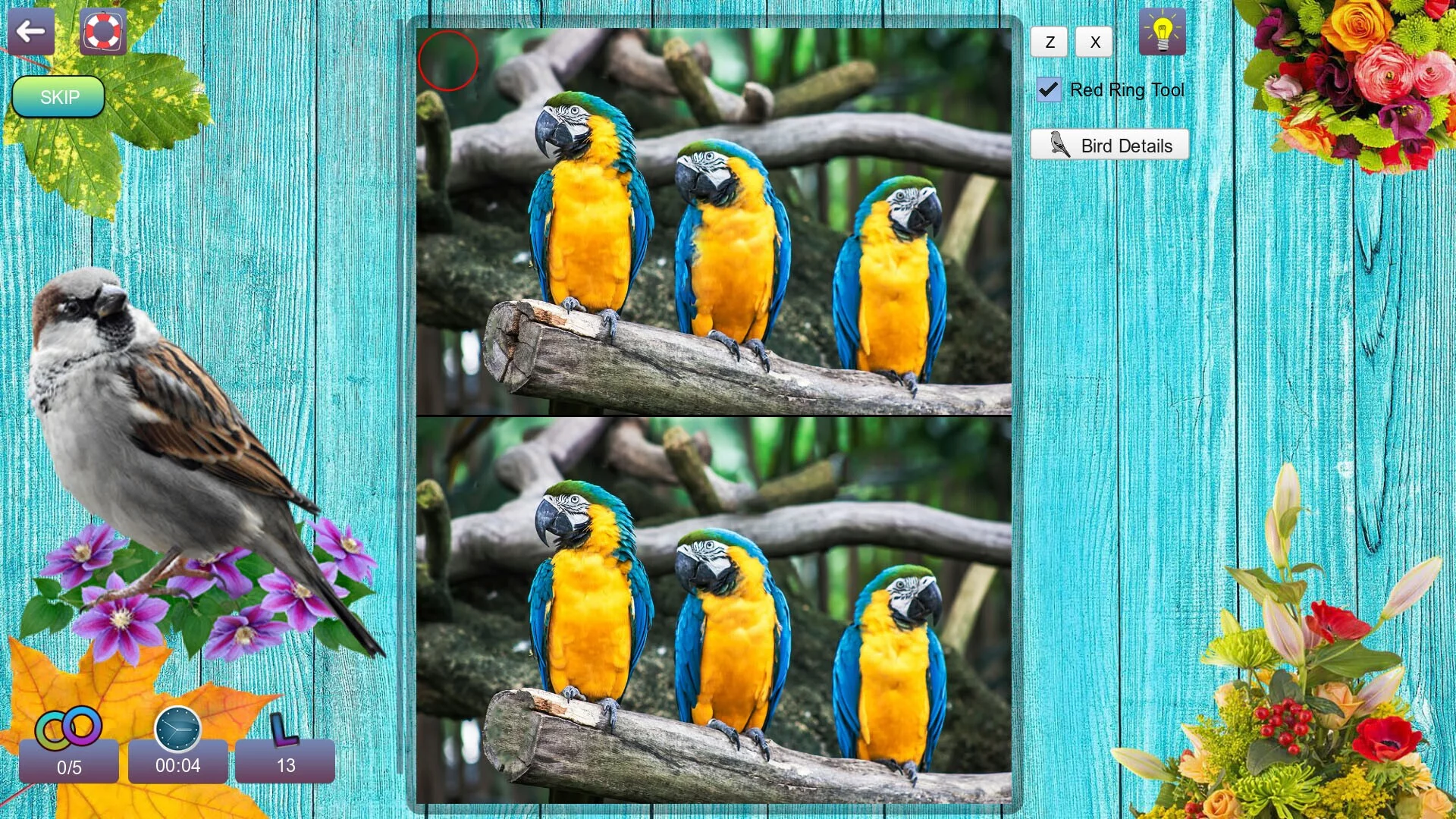 Изображение игры: Hidden Pairs 3: Lovely Birds