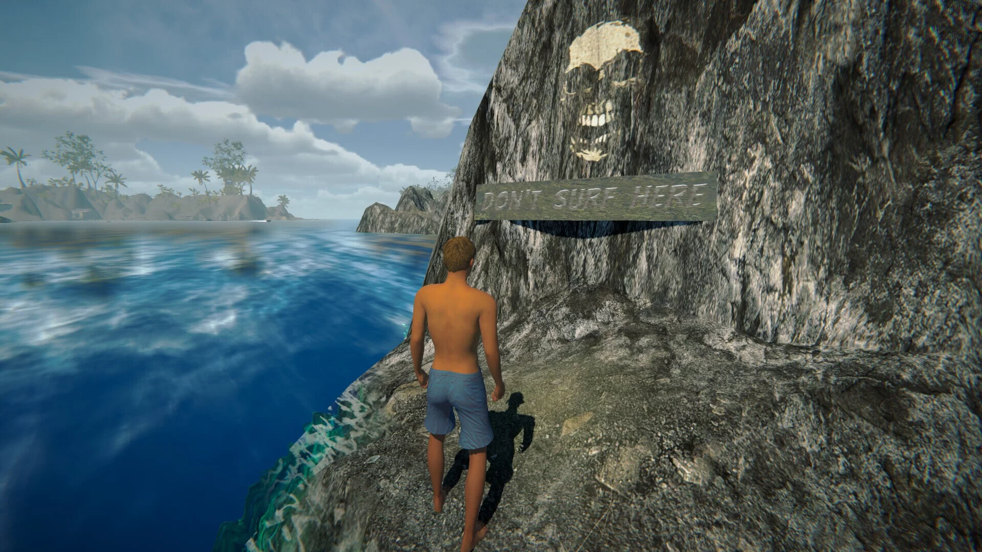 Изображение игры: Surfers Code