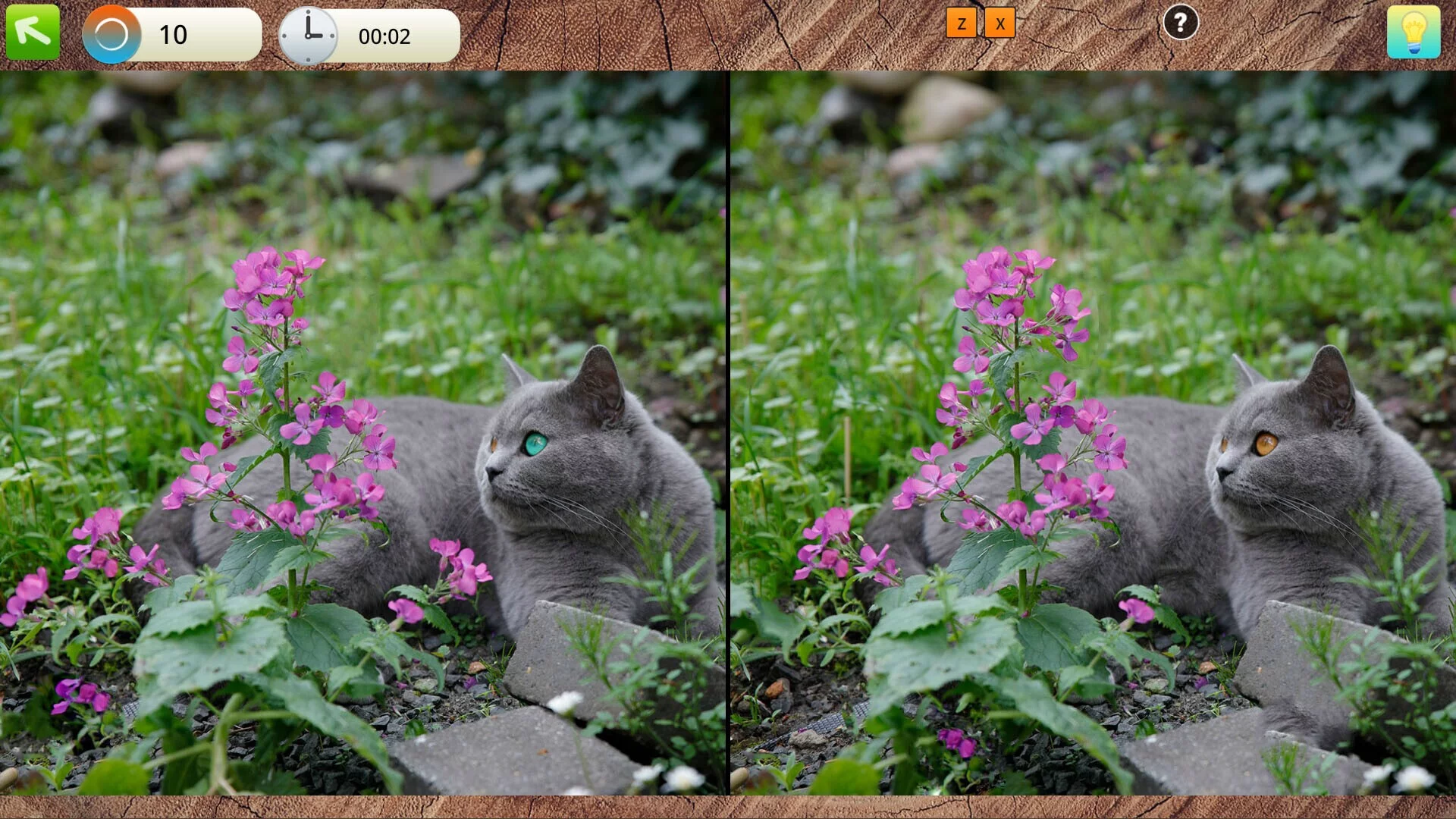 Изображение игры: Peaceful Gardens 2: Cute Cats