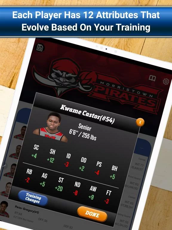 Изображение игры: Basketball Simulator