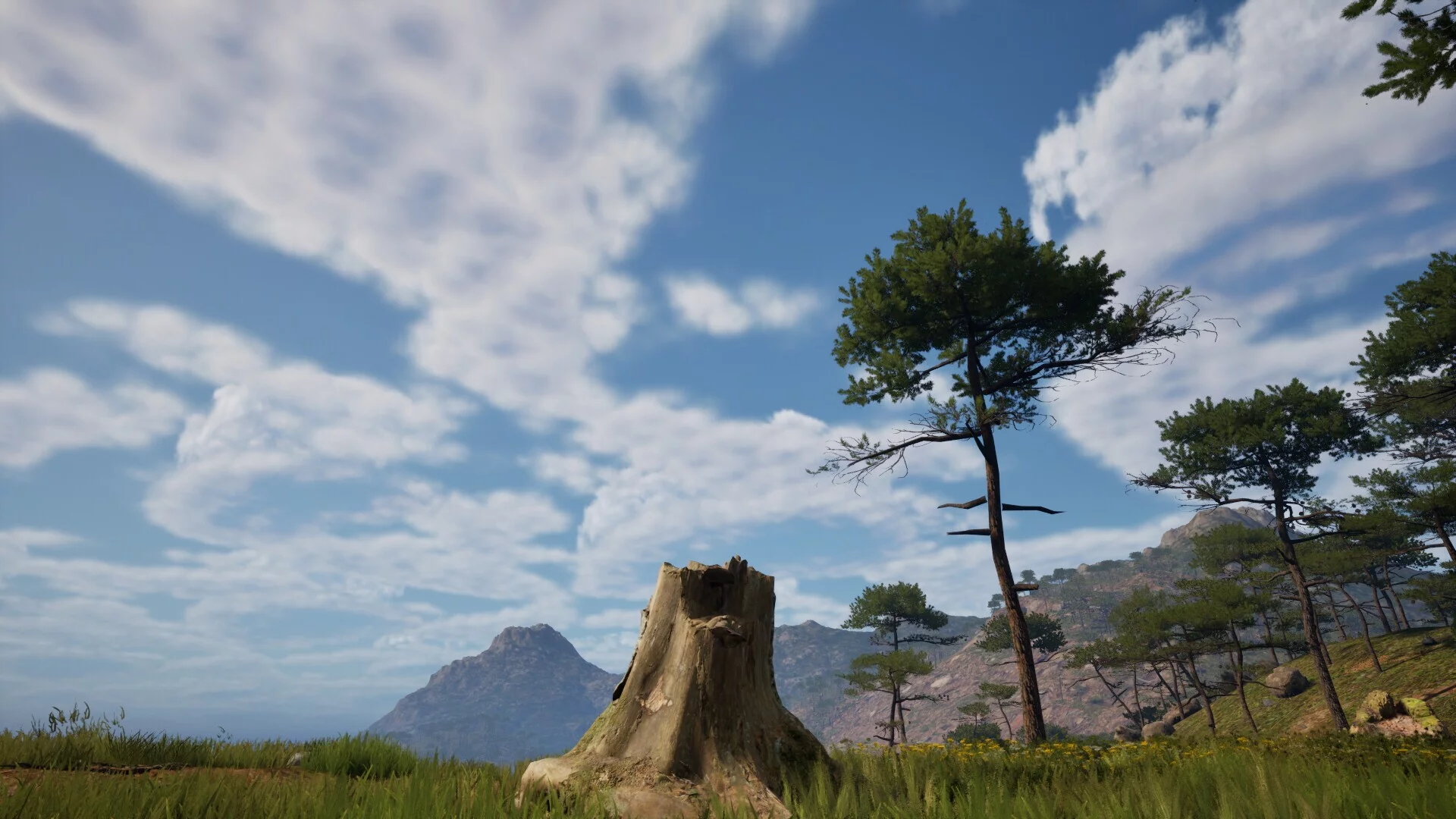 Изображение игры: Stump Simulator 2