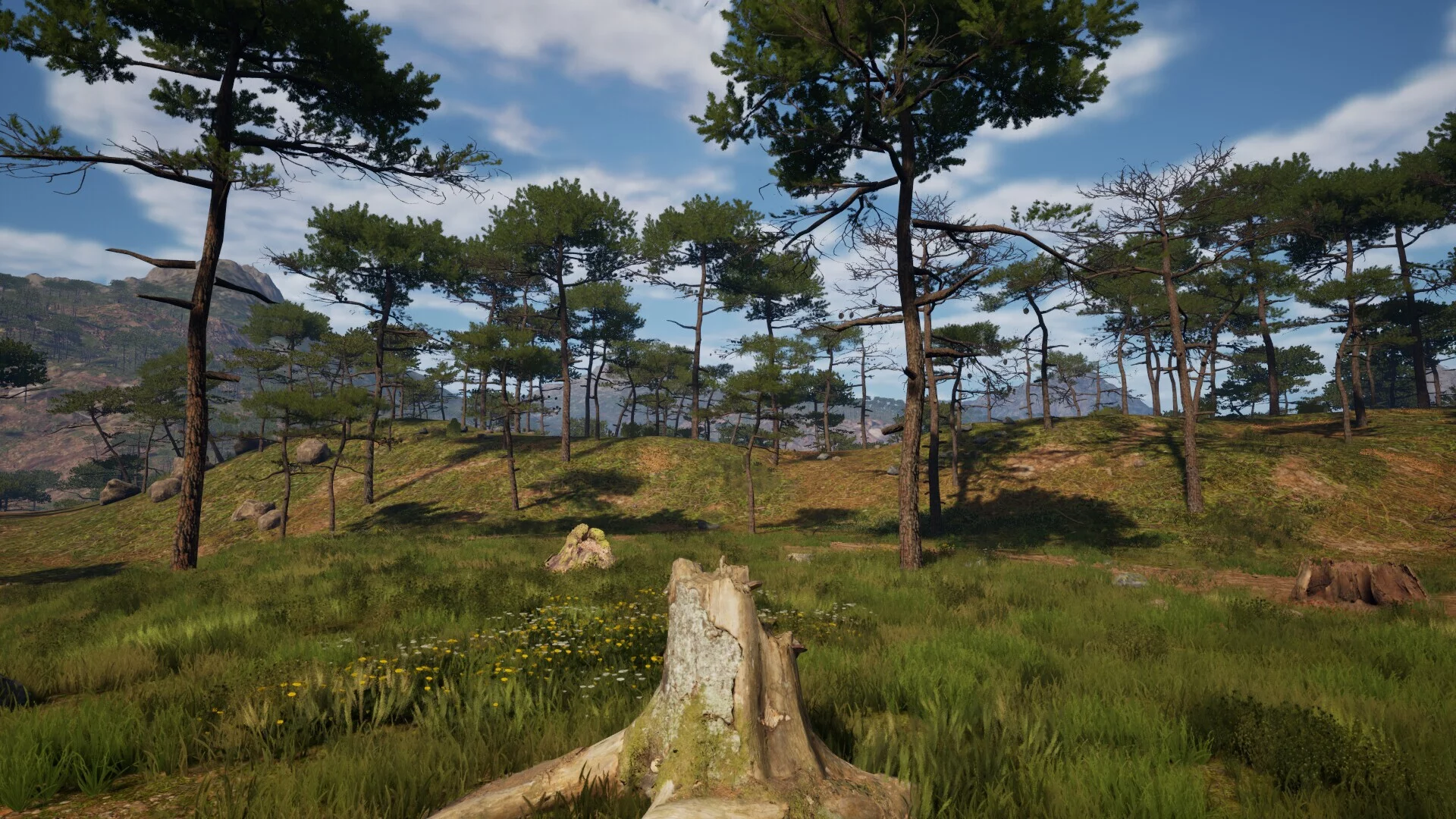 Изображение игры: Stump Simulator 2