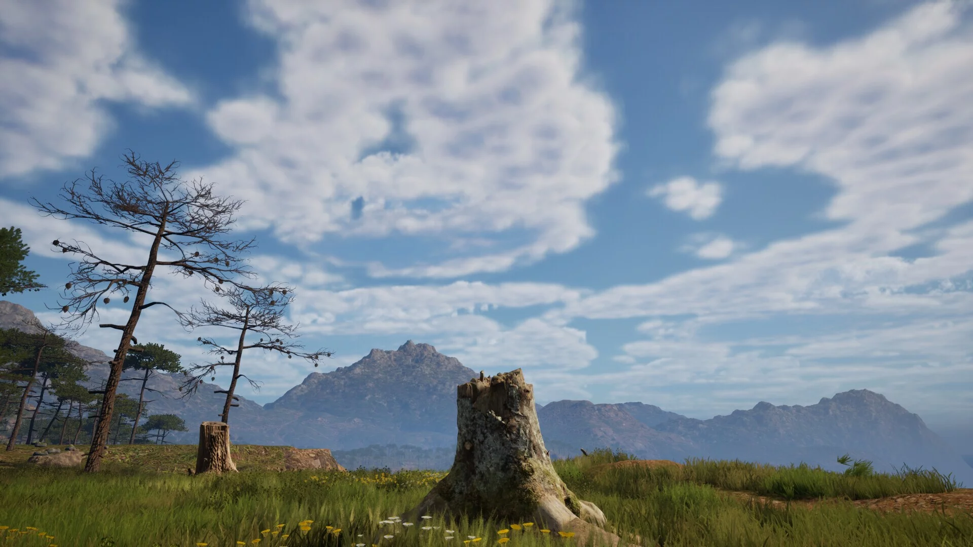 Изображение игры: Stump Simulator 2