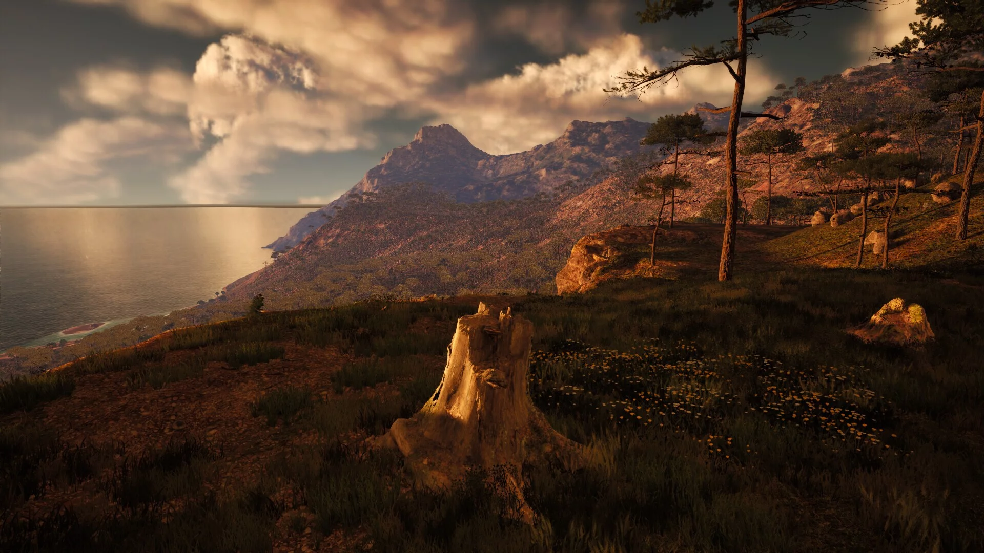 Изображение игры: Stump Simulator 2