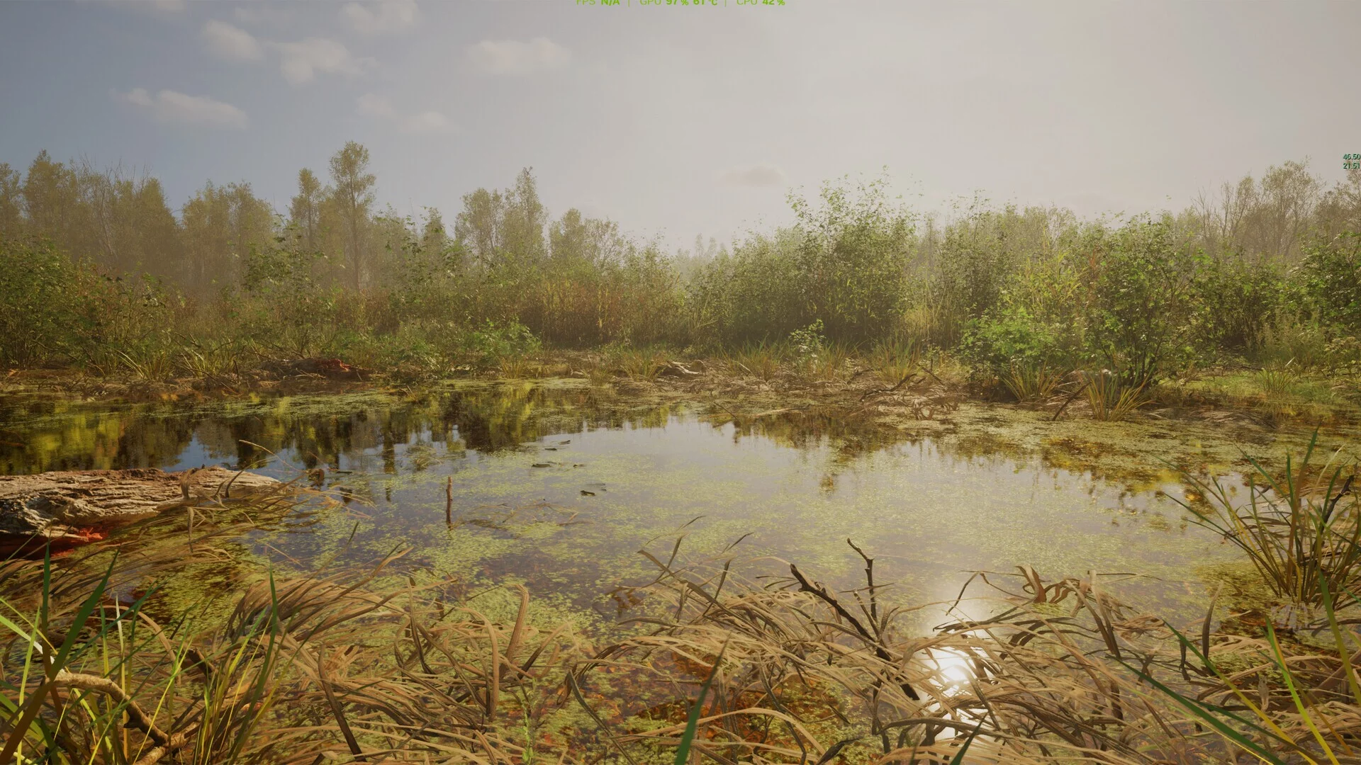 Изображение игры: Forest Doesn’t Care