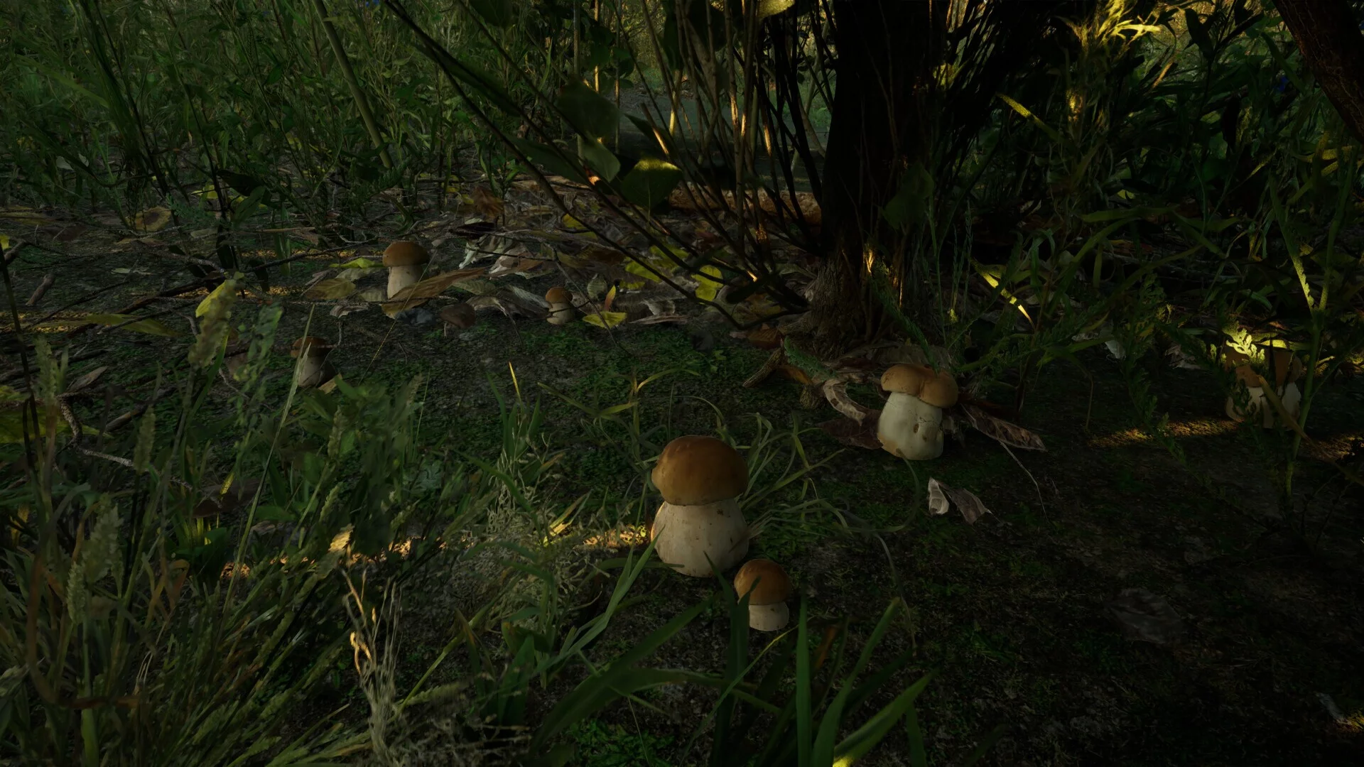 Изображение игры: Forest Doesn’t Care