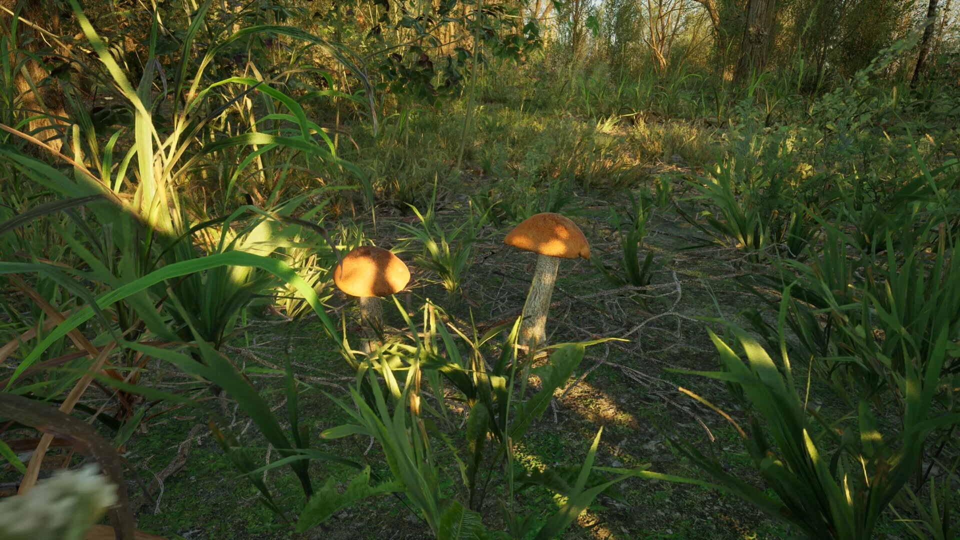 Изображение игры: Forest Doesn’t Care