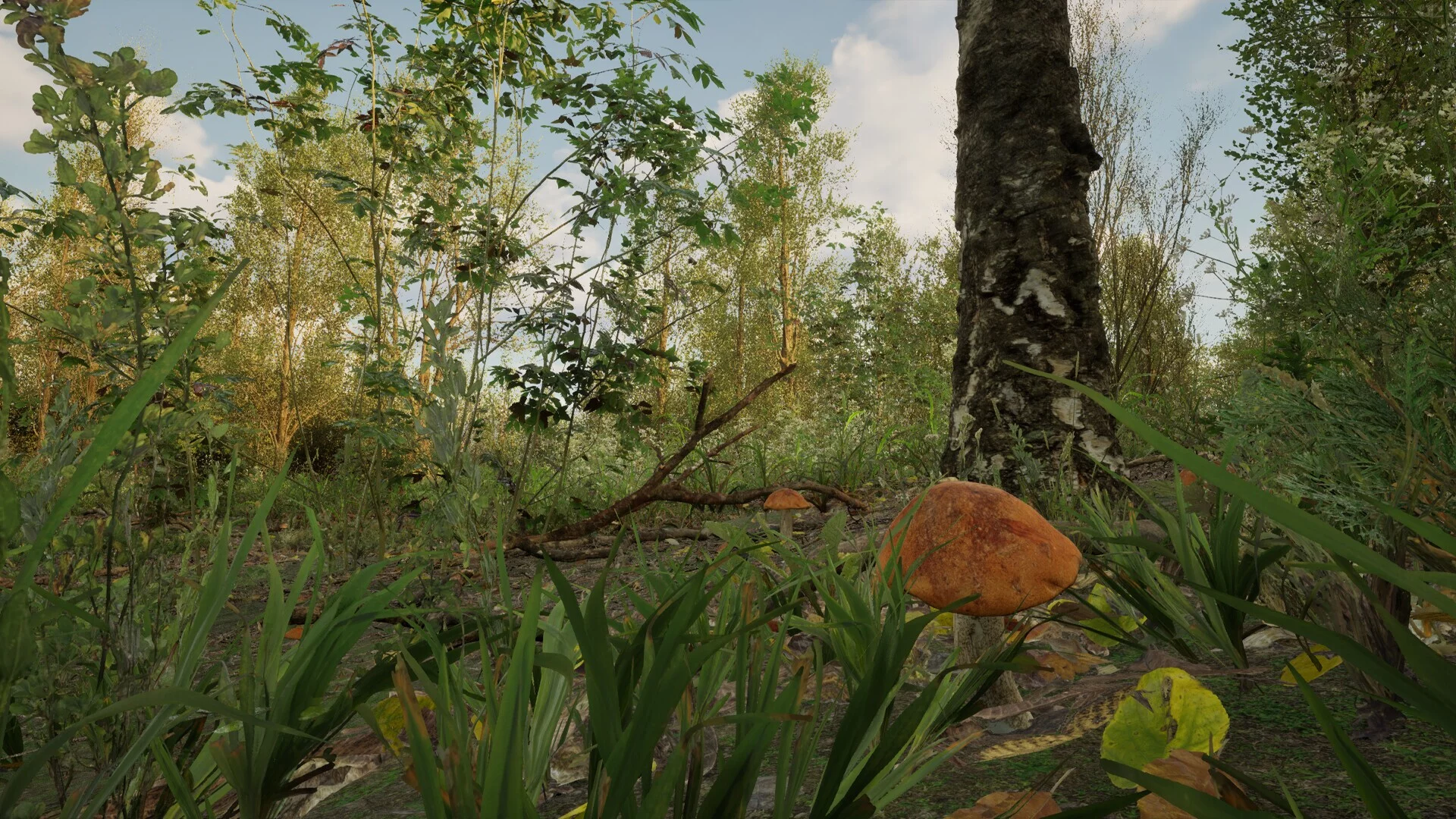 Изображение игры: Forest Doesn’t Care