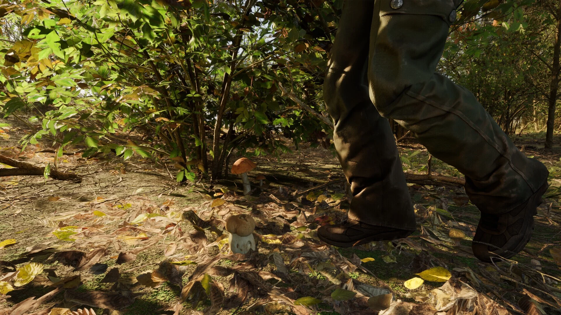 Изображение игры: Forest Doesn’t Care