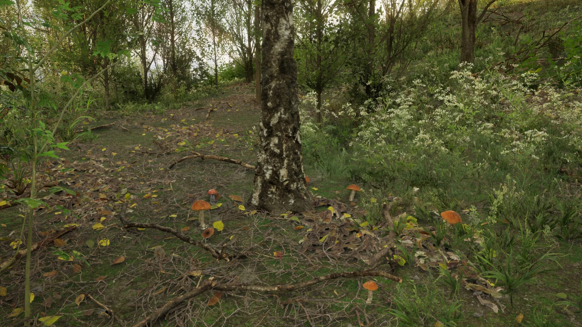 Изображение игры: Forest Doesn’t Care