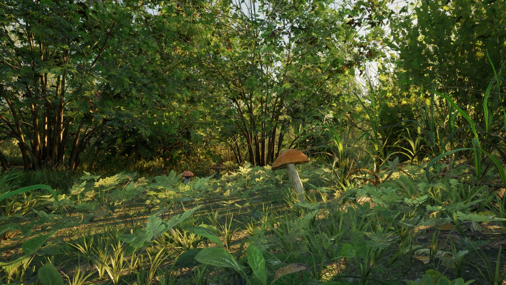 Изображение игры: Forest Doesn’t Care