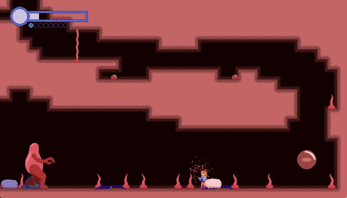 Изображение игры: Soakraiva