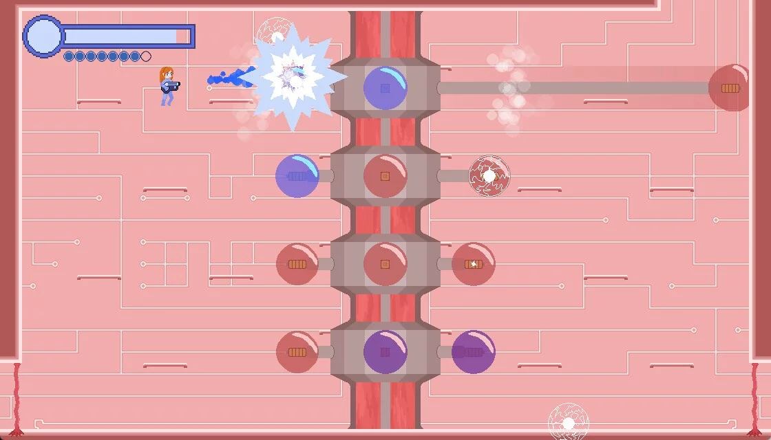 Изображение игры: Soakraiva