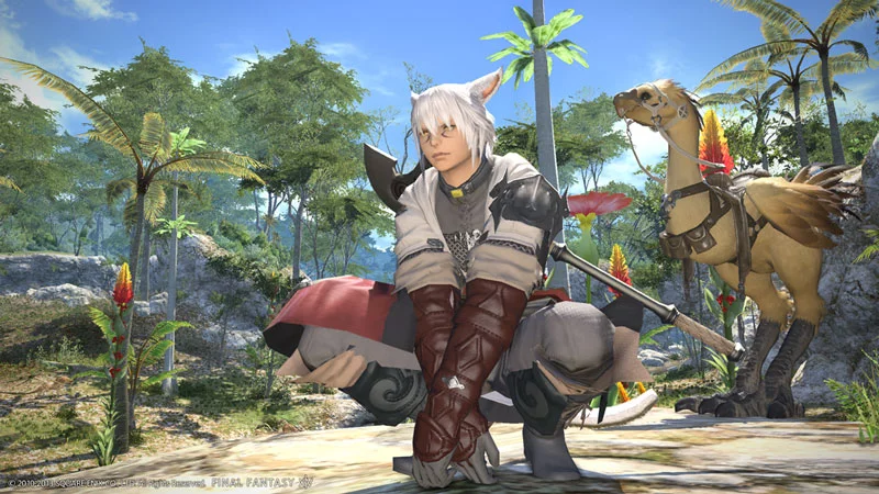 Изображение игры: FINAL FANTASY XIV: A Realm Reborn