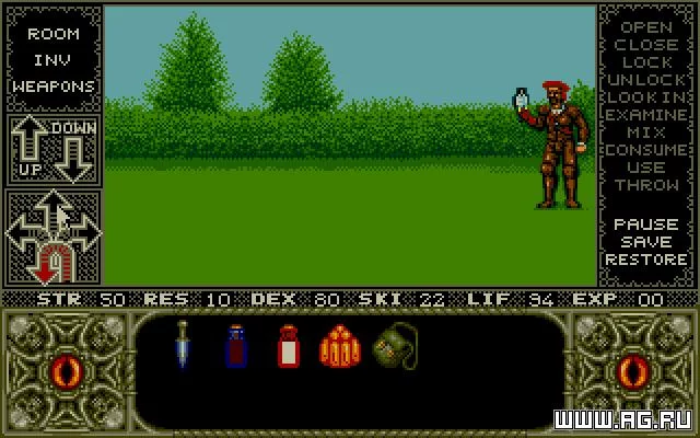 Изображение игры: Elvira: Mistress of the Dark