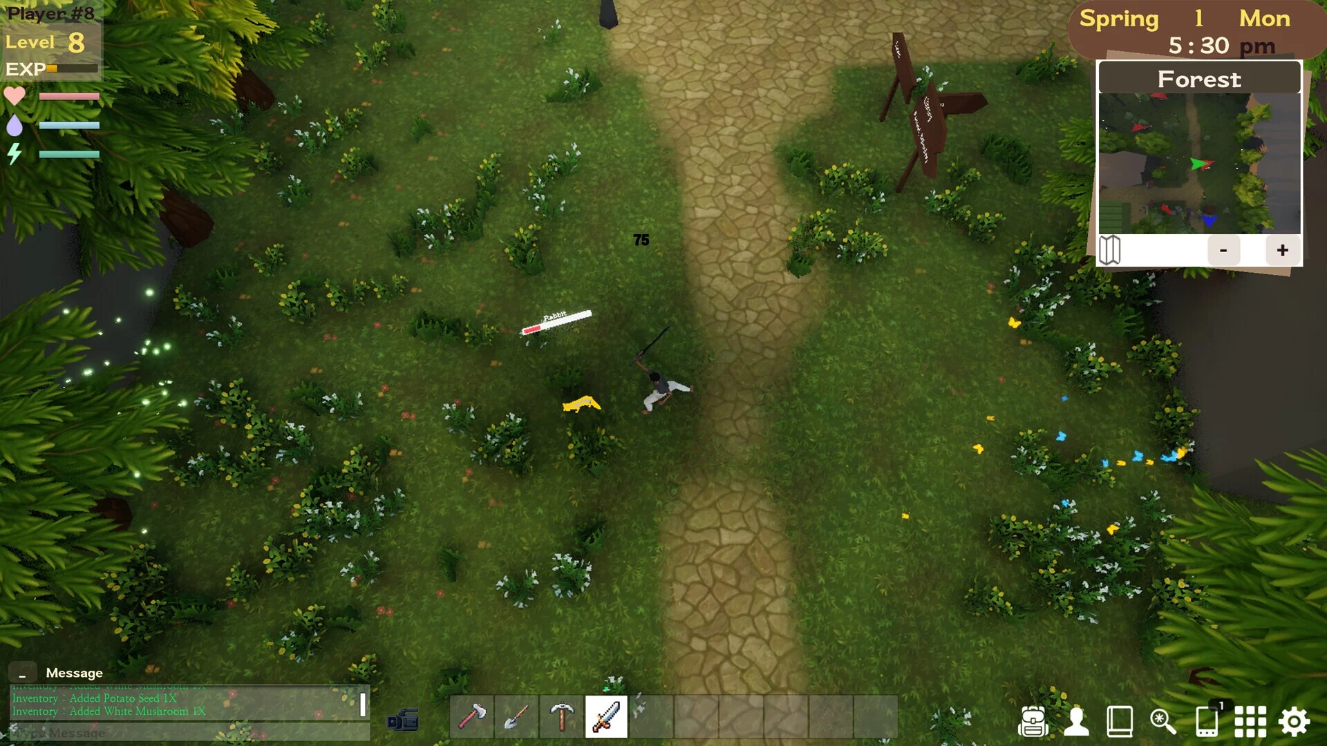 Изображение игры: Shards of the library