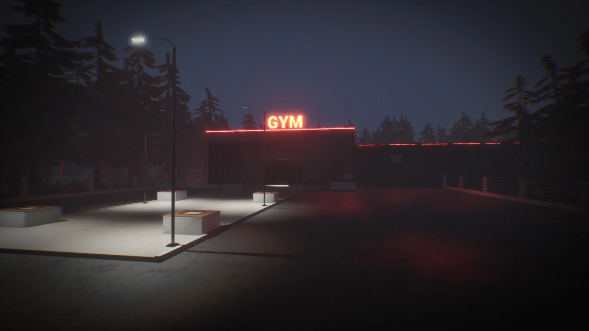 Изображение игры: The Night Gym