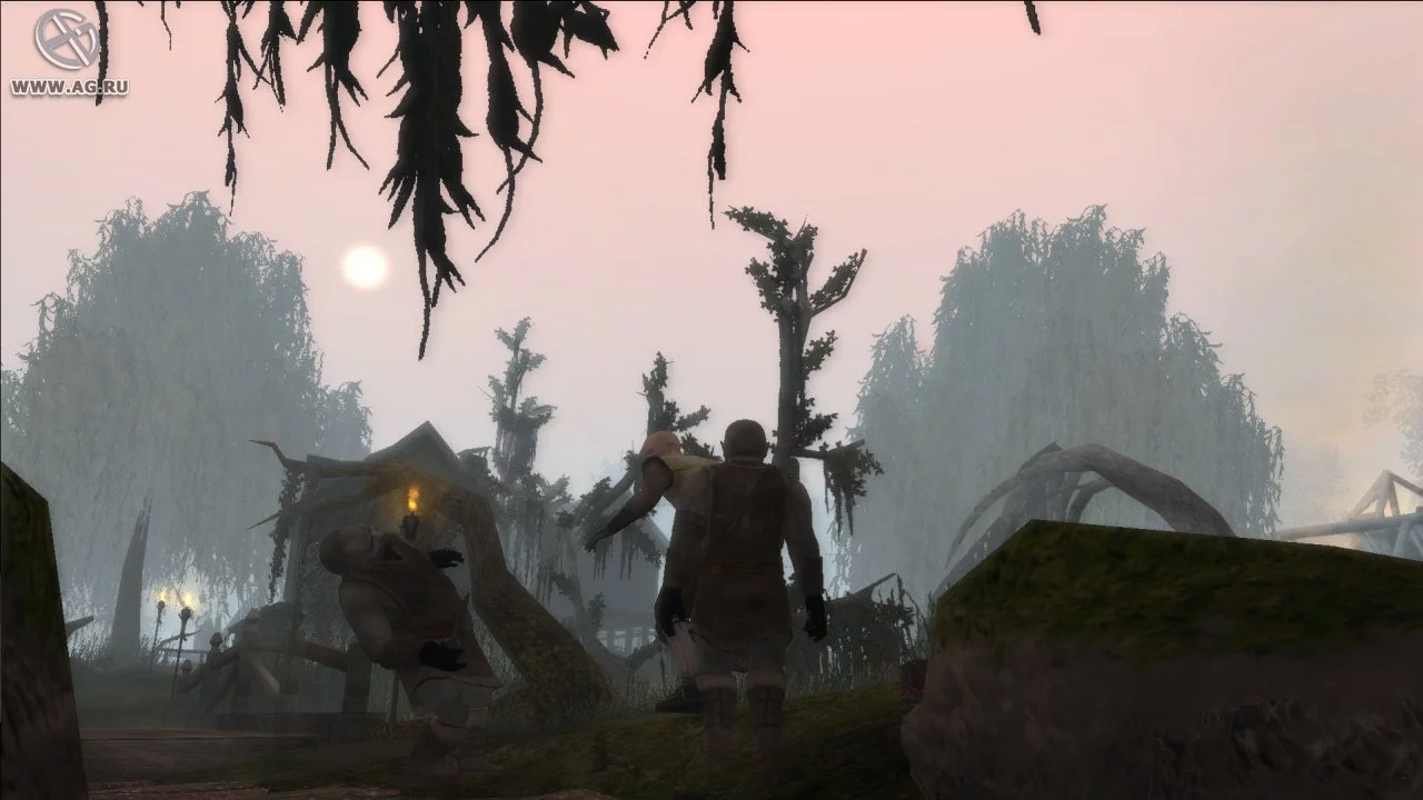 Изображение игры: Neverwinter Nights 2