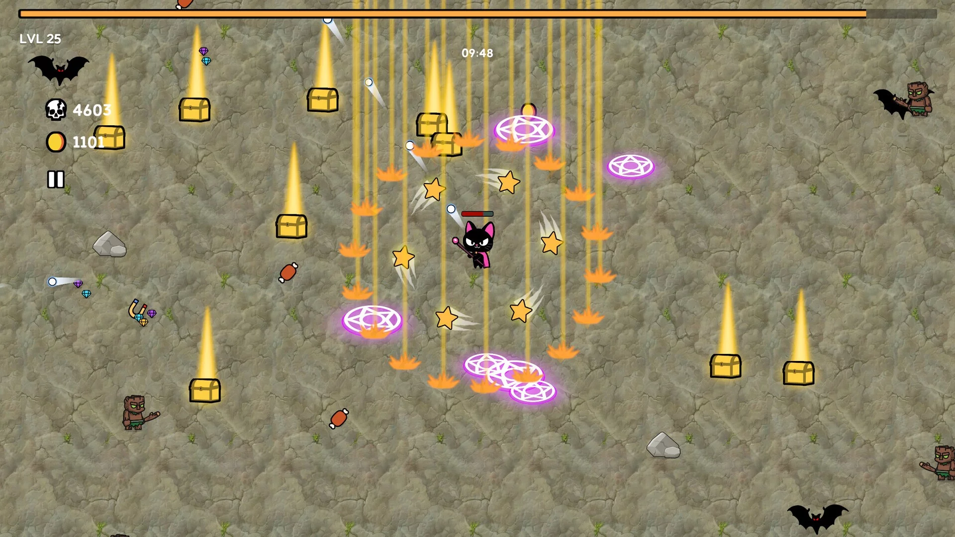 Изображение игры: Magic Cat