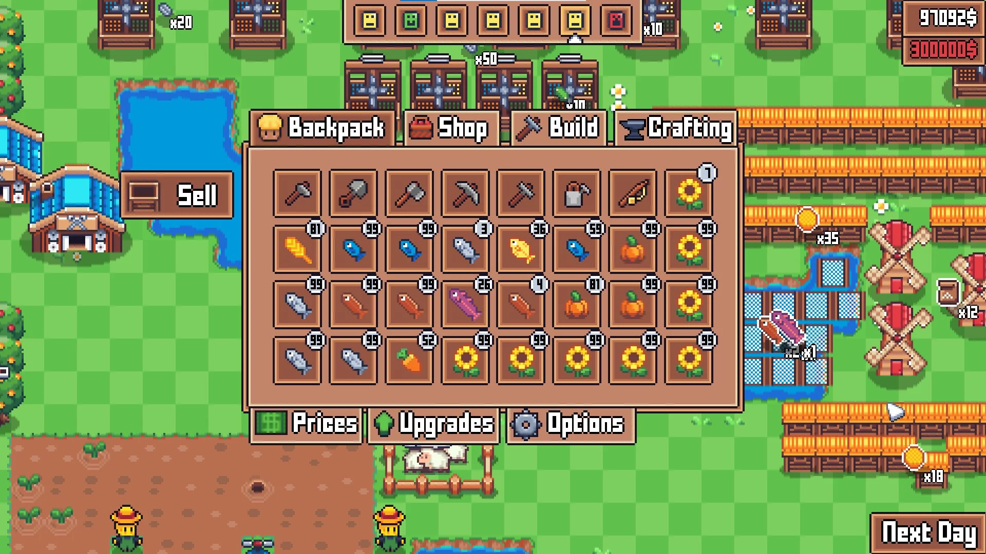 Изображение игры: Another Farm Roguelike