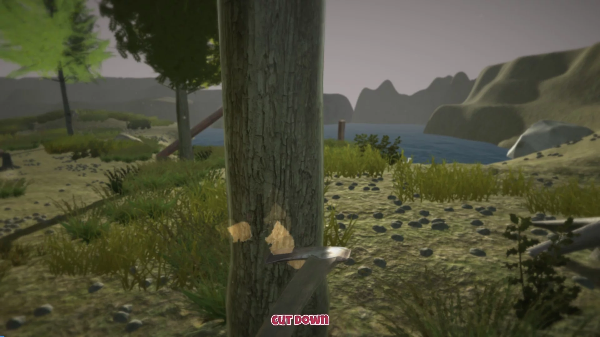 Изображение игры: Forest Survival