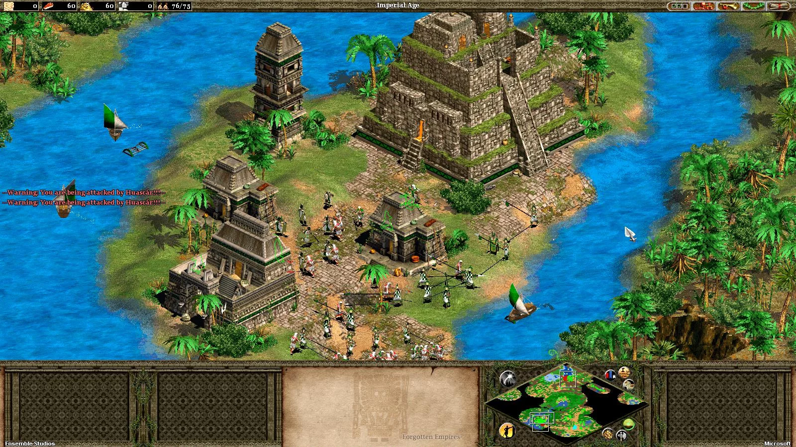 Изображение игры: Age of Empires II: Forgotten Empires