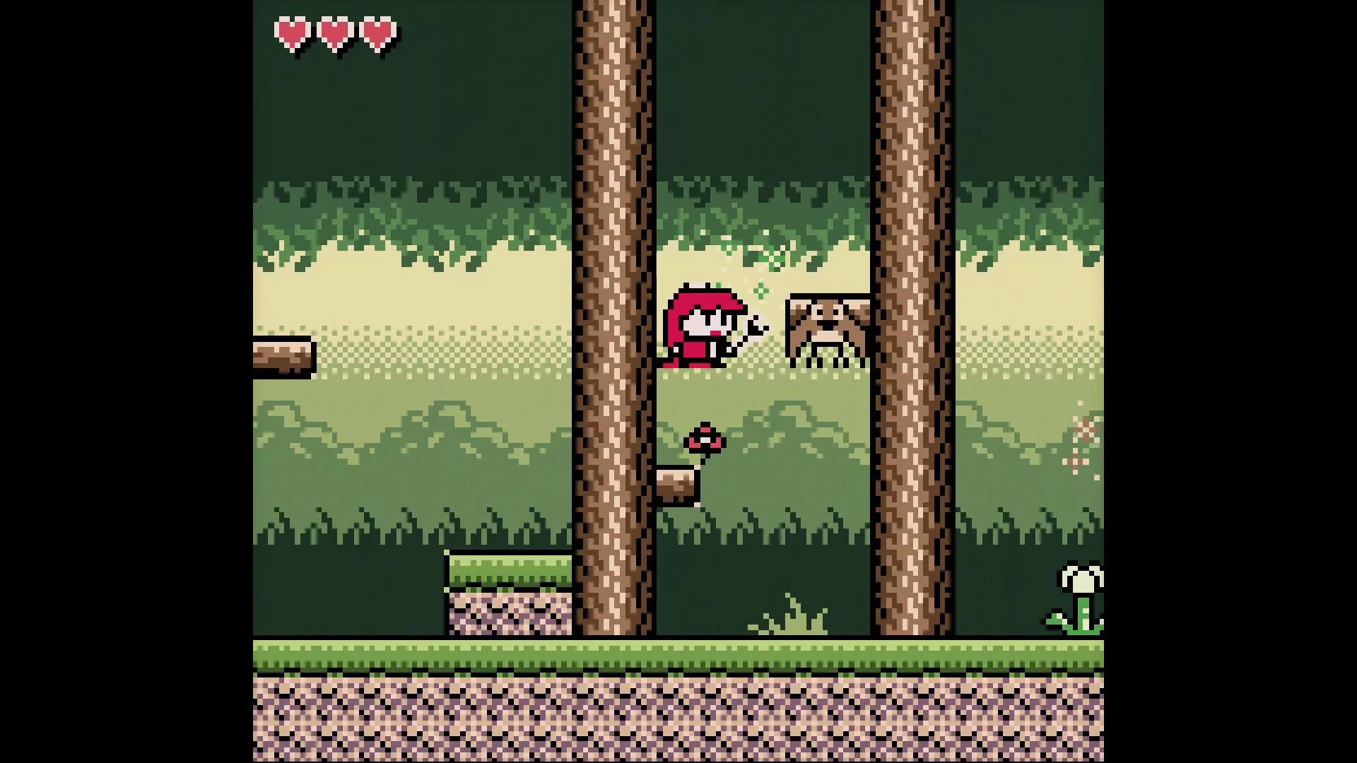 Изображение игры: Pokettohiro