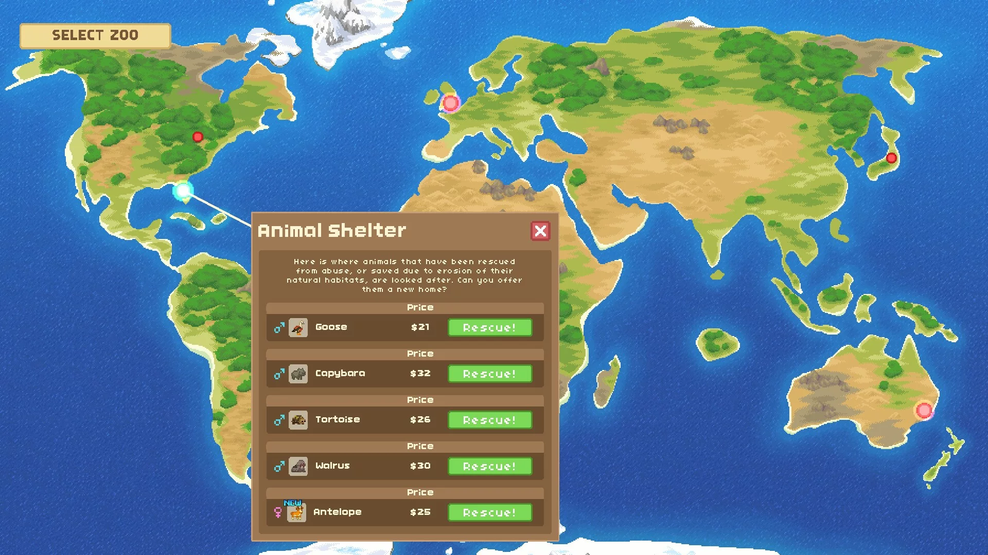 Изображение игры: Let's Build a Zoo