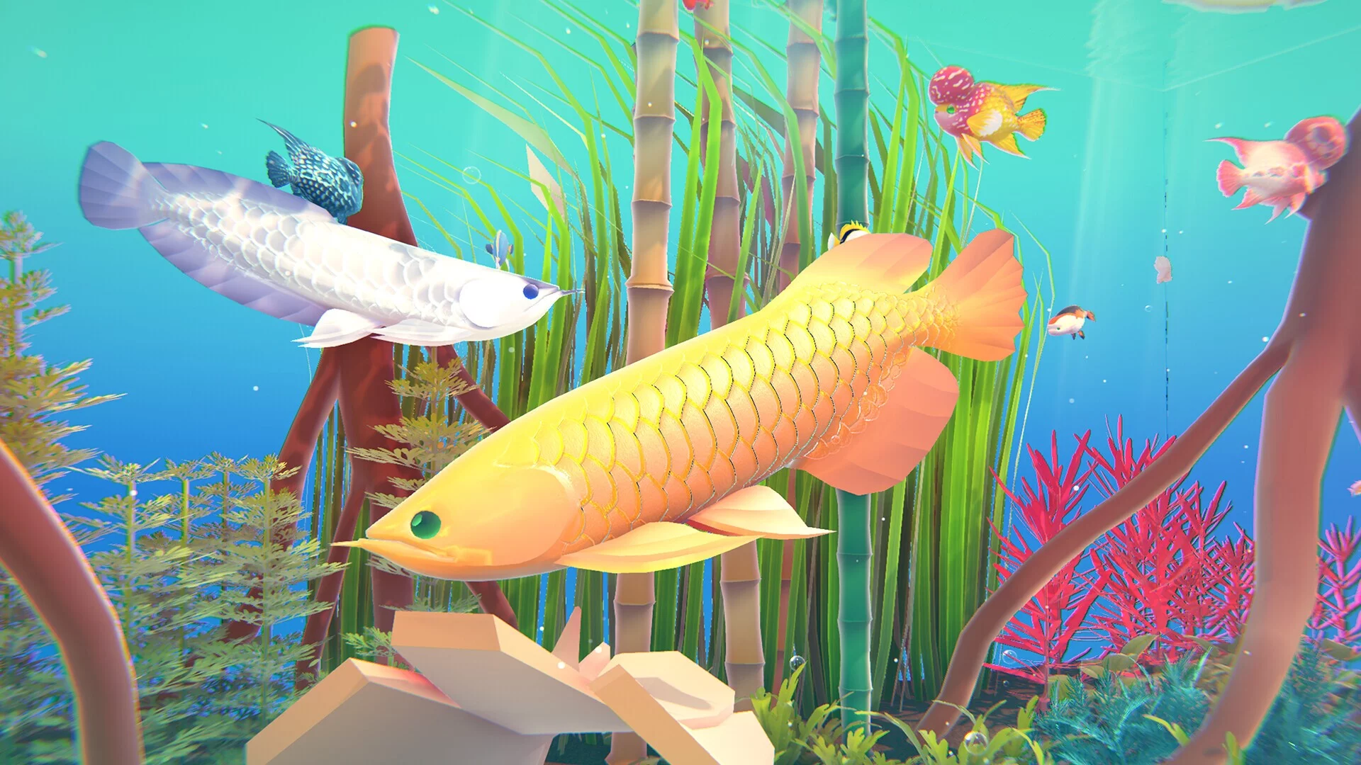 Изображение игры: Fishplay